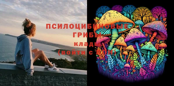 бошки Заволжье