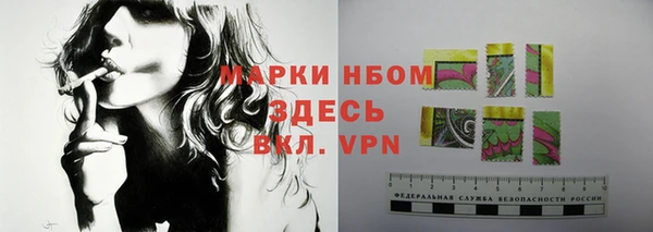 твердый Заводоуковск
