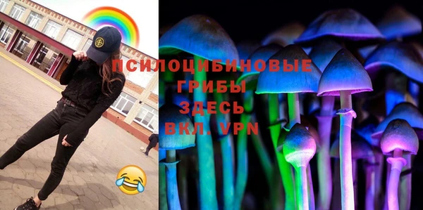 твердый Заводоуковск