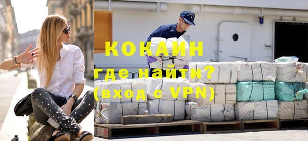 твердый Заводоуковск