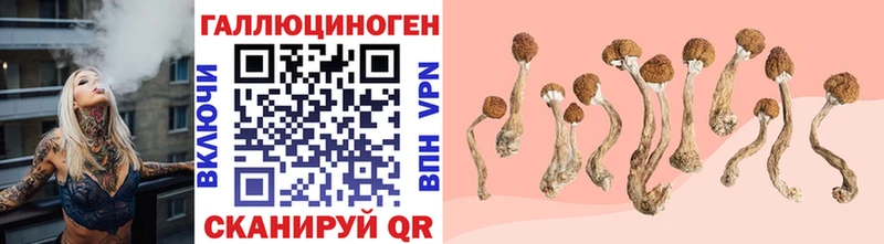 Купить где Изобильный Псилоцибиновые грибы мухоморы
